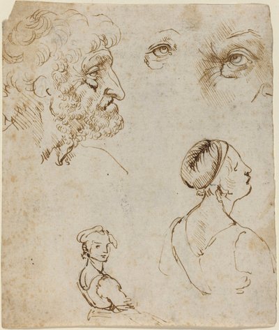 Sheet of Studies (recto) by Leonardo da Vinci